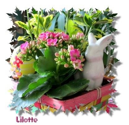An den Beitrag angehängtes Bild: https://kiy-mail.de/vincent/hasi.jpg